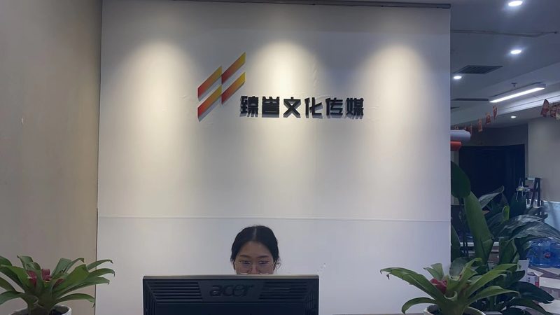 三维动画公司加盟代理：揭秘行业选择与布局