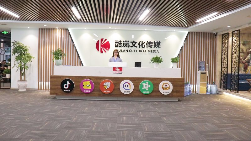 房地产宣传片制作周期揭秘：影响因素与优化策略
