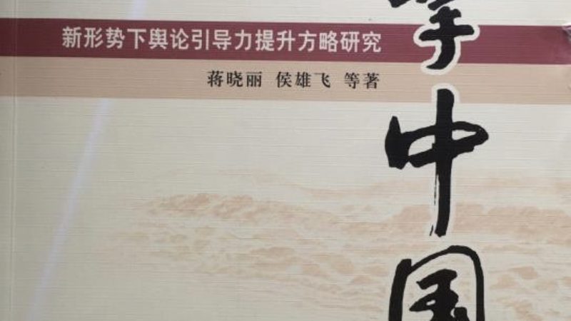 上海品牌策划公司案例：揭秘品牌崛起背后的策略