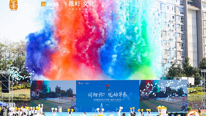 MG动画角色设计：揭秘报价背后的秘密**