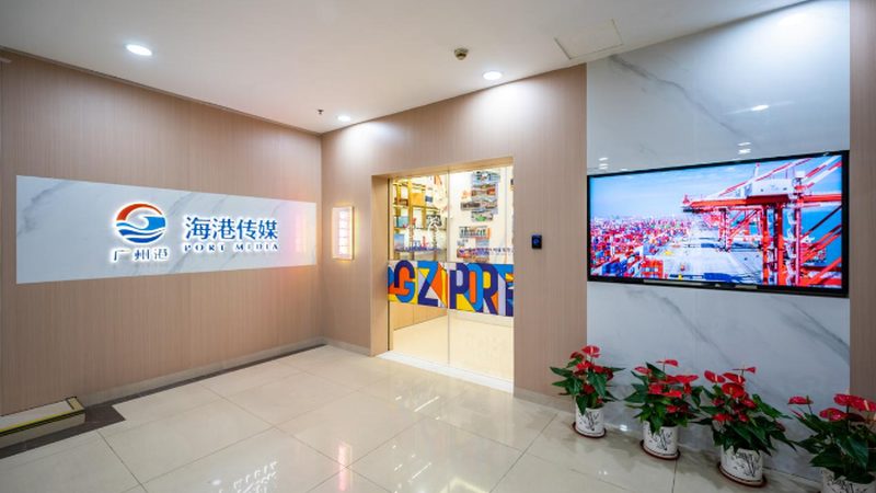 医疗MCN代运营：资质对比与选择指南
